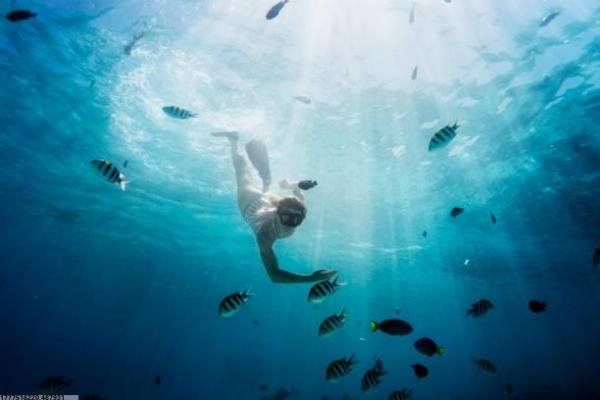 升学选择体育项目需要考虑的关键因素(图1)